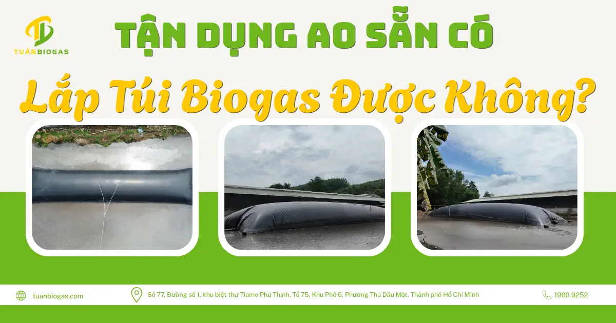 Trang Trại Có Sẵn Ao Có Lắp Được Túi Biogas Không?